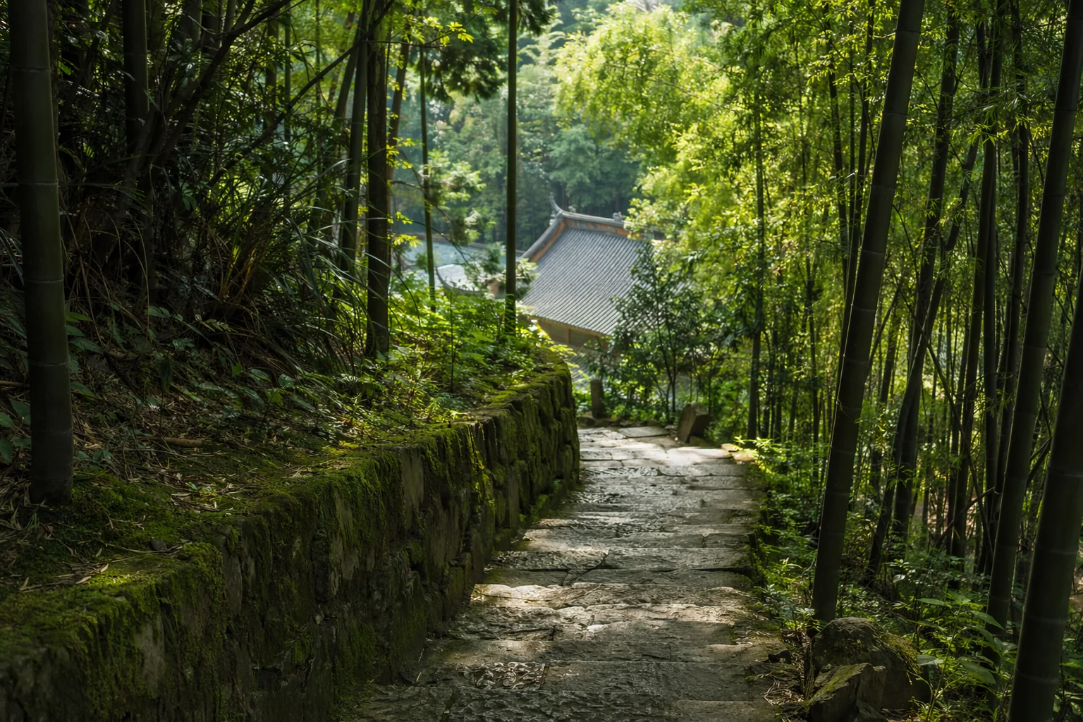 Hangzhou 5-Day Solo Traveler Itinerary
